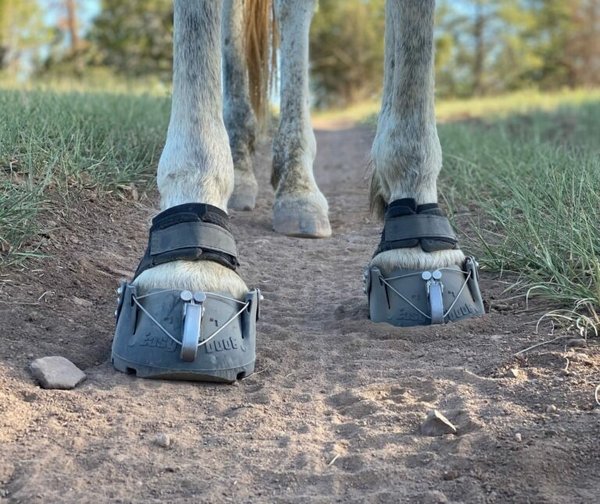 EasyCare Easyboot Glove Soft Horse Hoof Boot - SINGLE