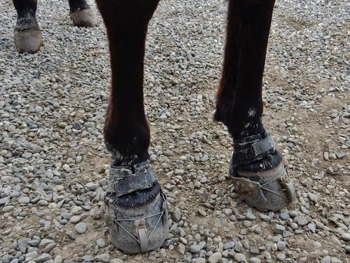 Show full view: EasyCare Easyboot Epic Horse Hoof Boot, 5 slide 9 of 10