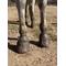 Show in main carousel: EasyCare Easyboot Glove Soft Horse Hoof Boot, 0.5W slide 8 of 11