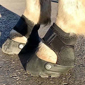 EasyCare Easyboot Glove Soft Horse Boot, 1.5