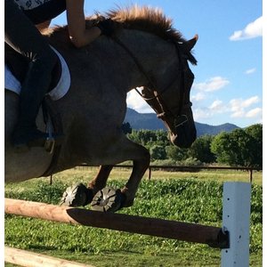 EasyCare Easyboot Glove Soft Horse Boot, 1.5