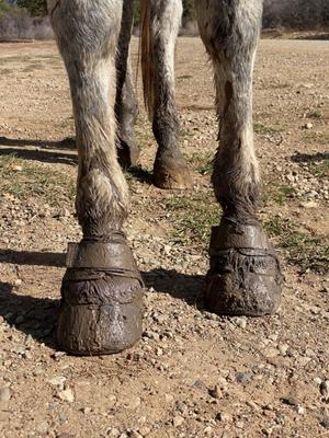 Show full view: EasyCare Easyboot Glove Soft Horse Hoof Boot, 1 slide 8 of 11