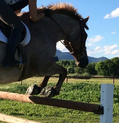 Show full view: EasyCare Easyboot Glove Soft Horse Hoof Boot, 2W slide 5 of 11