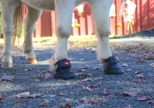 Show full view: EasyCare Easyboot Mini Horse Hoof Boot, Mini 1 slide 7 of 8