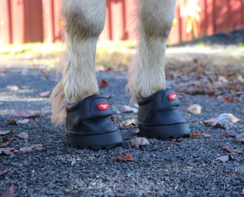 Show full view: EasyCare Easyboot Mini Horse Hoof Boot, Mini 3 slide 5 of 8