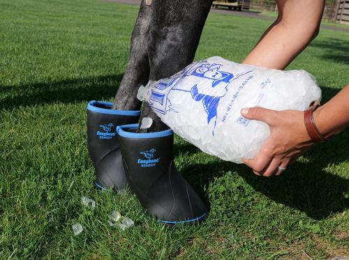 Show full view: EasyCare Easyboot Remedy Horse Hoof Boot, Large slide 8 of 9