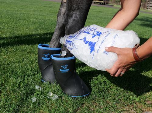 Show full view: EasyCare Easyboot Remedy Horse Hoof Boot, Medium slide 8 of 9