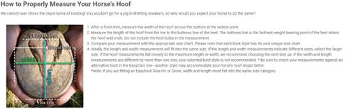 Show full view: EasyCare Easyboot Rx2 Horse Hoof Boot, Black/Blue, #000 slide 8 of 10