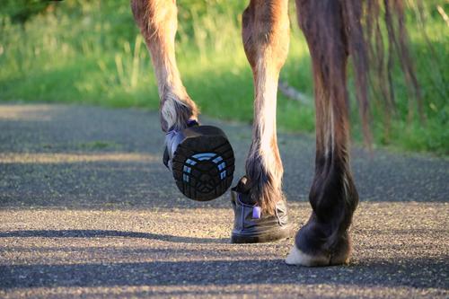 Show full view: EasyCare Easyboot Sneaker Horse Hoof Boot, Front, 0 slide 9 of 10