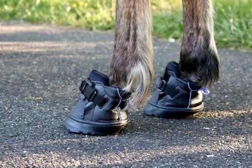 Show full view: EasyCare Easyboot Sneaker Horse Hoof Boot, Front, 00 slide 8 of 10