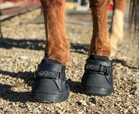 Show full view: EasyCare Easyboot Sneaker Horse Hoof Boot, Front, 1 slide 7 of 10