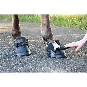 EasyCare Easyboot Sneaker Horse Boot, Front, 4