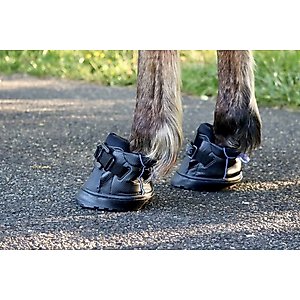 EasyCare Easyboot Sneaker Horse Boot, Front, 4