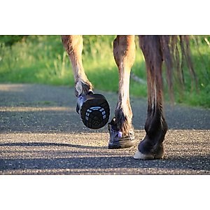 EasyCare Easyboot Sneaker Horse Boot, Front, 4