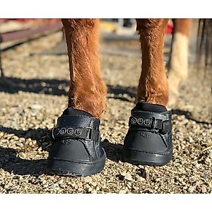 EasyCare Easyboot Sneaker Horse Boot, Front, 4