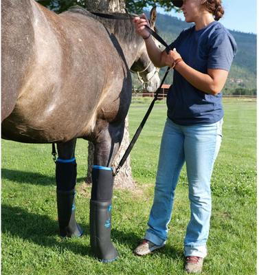 Show full view: EasyCare Easyboot Ultimate Remedy Horse Hoof Boot, Large slide 3 of 9