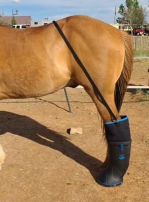 Show full view: EasyCare Easyboot Ultimate Remedy Horse Hoof Boot, Large slide 7 of 9