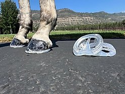 EasyCare EasyShoe Race Horseshoe, 2 count, Size 5 slide 2 of 9