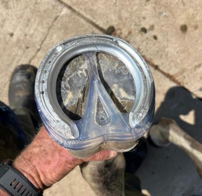 Show full view: EasyCare EasyShoe Race Horseshoe, 2 count, Size 6 slide 3 of 9