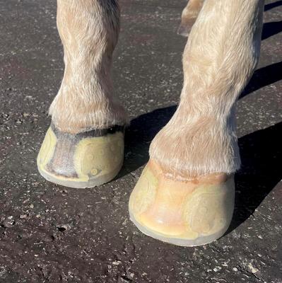 Show full view: EasyCare EasyShoe Speed Horseshoe, 2 count, Hind 126 slide 6 of 9