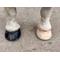 Show in main carousel: EasyCare EasyShoe Versa Grip Glue Horseshoe, 2 count, Front 102 slide 5 of 10