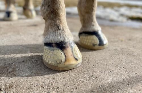 Show full view: EasyCare EasyShoe Versa Grip Glue Horseshoe, 2 count, Front 126 slide 6 of 10