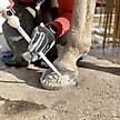 Show in main carousel: EasyCare EasyShoe Versa Grip Glue Horseshoe, 2 count, Hind 122 slide 4 of 10