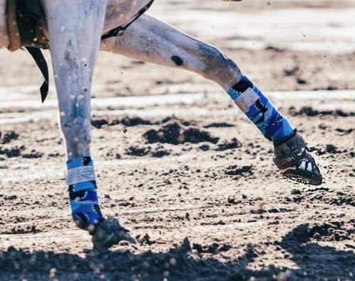 Show full view: EasyCare EasyShoe Versa Grip Octo Horseshoe, 2 count, Front 102 slide 6 of 11