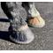 Show in main carousel: EasyCare EasyShoe Versa Grip Octo Horseshoe, 2 count, Hind 122 slide 5 of 11