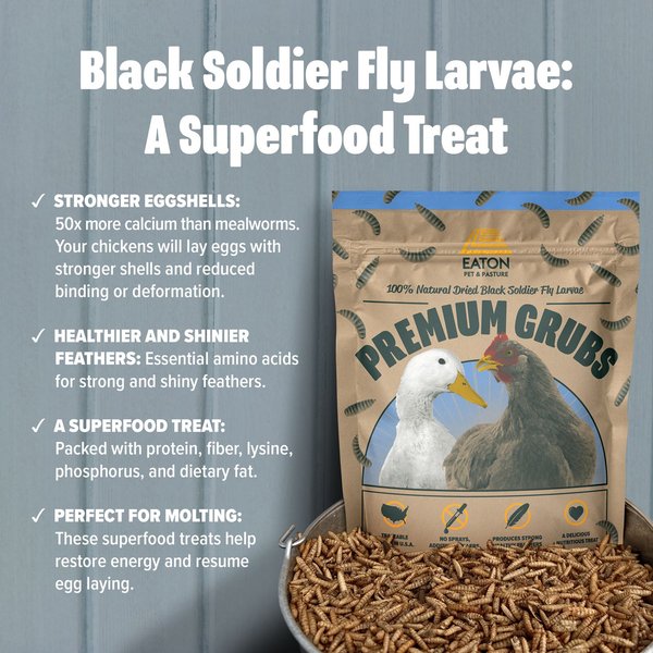 Eaton Pet & Pasture Premium Grubs USA Grown Black Soldier Fly Larvae Bird Treats, 1.5-lb bag