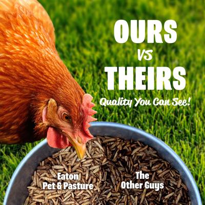 Show full view: Eaton Pet & Pasture Premium Grubs USA Grown Black Soldier Fly Larvae Bird Treats, 1.5-lb bag slide 6 of 8