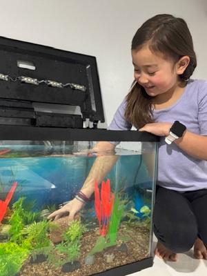 Show full view: EcoBio-Block EcoBio-Stone with Beneficial Aquarium Bacteria, Medium slide 6 of 7