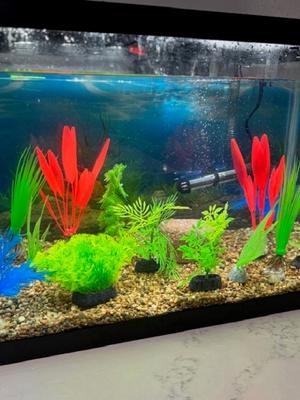 Show full view: EcoBio-Block EcoBio-Stone with Beneficial Aquarium Bacteria, Medium slide 5 of 7