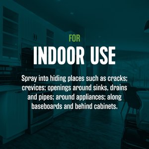 EcoLogic Ant & Roach Killer Aerosol Spray, 14-fl oz bottle