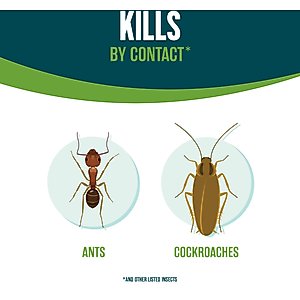 EcoLogic Ant & Roach Killer Aerosol Spray, 14-fl oz bottle