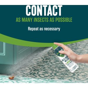 EcoLogic Ant & Roach Killer Aerosol Spray, 14-fl oz bottle