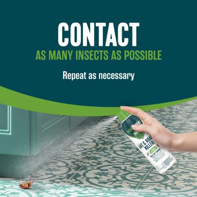 Show full view: EcoLogic Ant & Roach Killer Aerosol Spray, 14-fl oz bottle slide 7 of 10