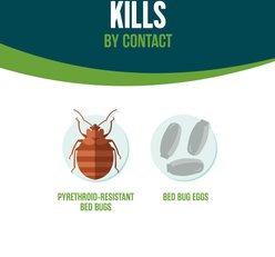 EcoLogic Bed Bug Killer Aerosol Spray, 14-fl oz spray slide 2 of 9