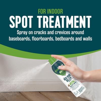 Show full view: EcoLogic Bed Bug Killer Aerosol Spray, 14-fl oz spray slide 4 of 11