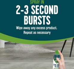 EcoLogic Flying Insect Killer Aerosol Spray, 14-fl oz bottle slide 2 of 8