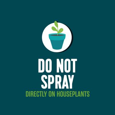 Show full view: EcoLogic Flying Insect Killer Aerosol Spray, 14-fl oz bottle slide 5 of 10