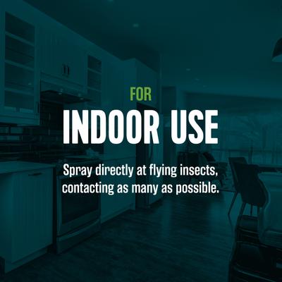 Show full view: EcoLogic Flying Insect Killer Aerosol Spray, 14-fl oz bottle slide 4 of 10