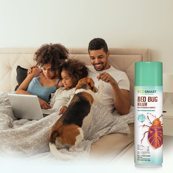 EcoSMART Bed Bug Spray for Matt & Carpet, 14-fl oz bottle