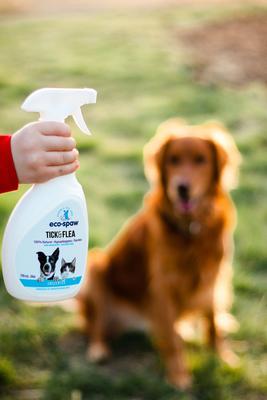 Show full view: EcoSpaw Flea & Tick Dog Repellent, 24-fl oz bottle slide 5 of 7