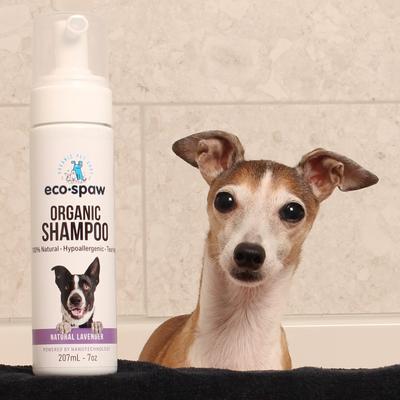 Show full view: EcoSpaw Organic Lavender Scent Dog Shampoo, 7-oz bottle slide 3 of 6