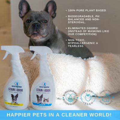 Show full view: EcoSpaw Stain & Odor Unscented Dog & Cat Cleaner, 16-oz bottle slide 2 of 5