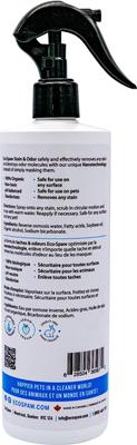 Show full view: EcoSpaw Stain & Odor Unscented Dog & Cat Cleaner, 16-oz bottle slide 3 of 5