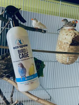 Show full view: EcoSpaw Unscented Bird & Cage Cleaner, 16-oz bottle slide 3 of 3