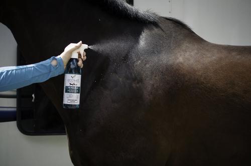 Show full view: Ecovet Fly Repellent Horse Spray, 18-fl oz bottle slide 6 of 13