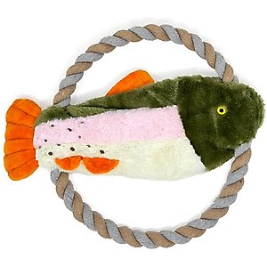 Eddie Bauer 10-in Rope Toy with Fish Plush Dog Toy, Green/White